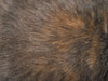 Fur Pattern